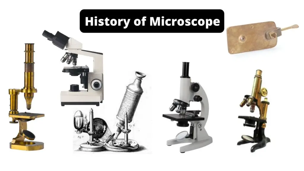 History Of The Microscope Biology Notes Online