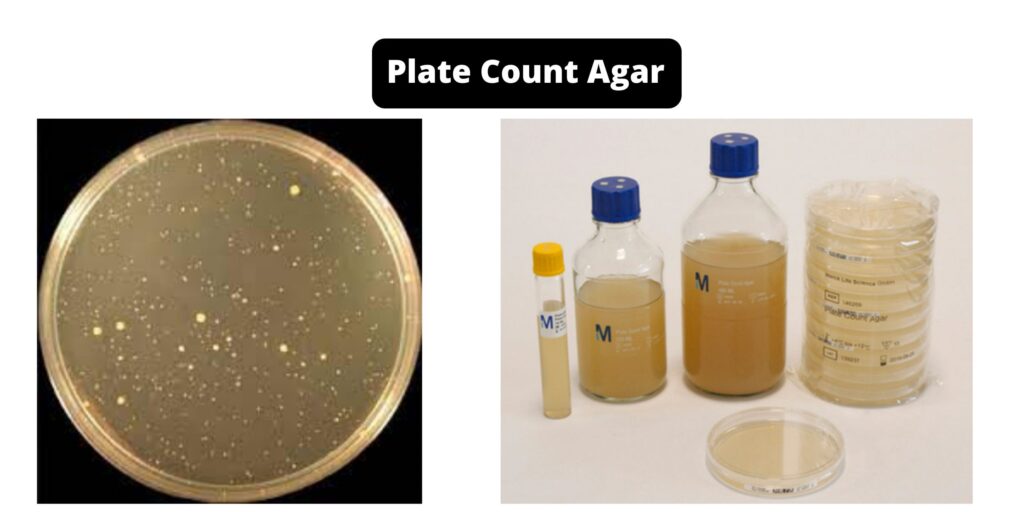 Plate Count Agar Pca Composition Principle Preparation Results