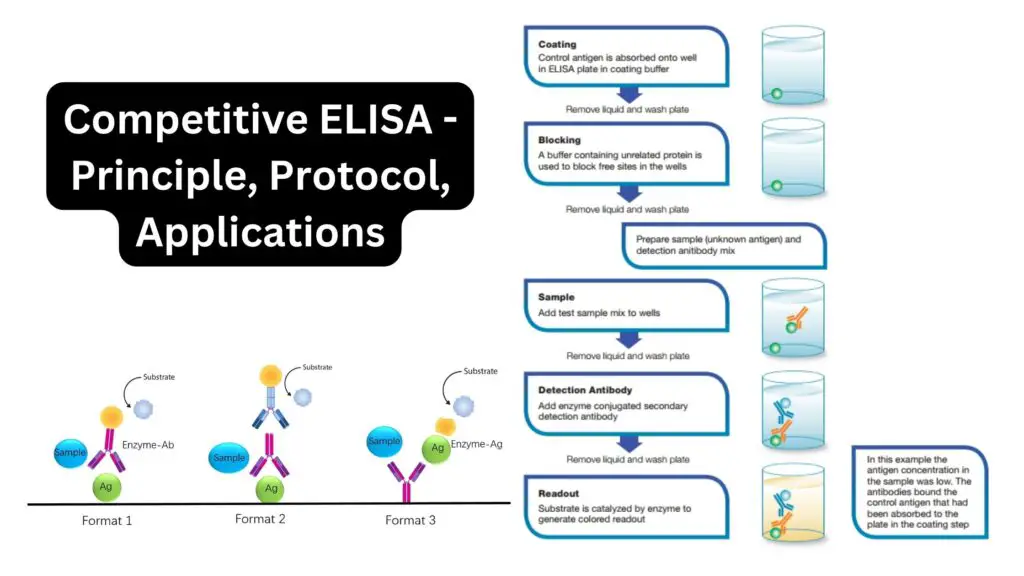 Competitive ELISA Principle Protocol Applications Biology Notes