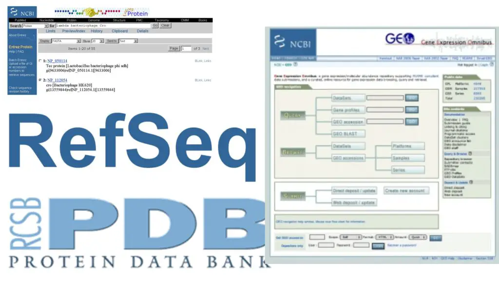 Bioinformatics Databases Software And Tools Biology Notes Online