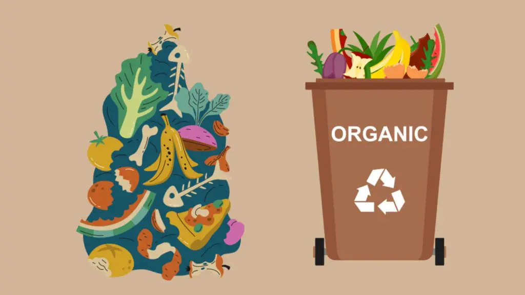 Organic Waste Recycling Definition Characteristics Methods Steps