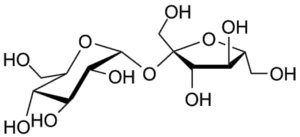 Carbohydrates Definition Structure Types Examples Functions