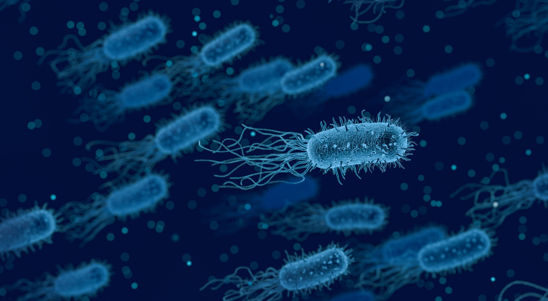 Bacterial toxin: Definition, Types, Example.