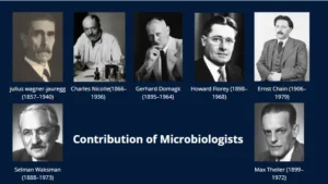Contribution of Microbiologist: Selman Waksman, Julius Wagner-Jauregg, Charles Nicolle,  Gerhard Domagk,  Howard Florey, Ernst Chain, Max Theiler.