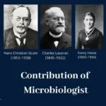 Contribution of Microbiologist