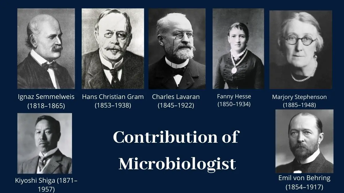 Contribution of Microbiologist