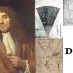 Contribution of Antonie van Leeuwenhoek