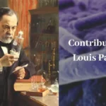 Contribution of Louis Pasteur