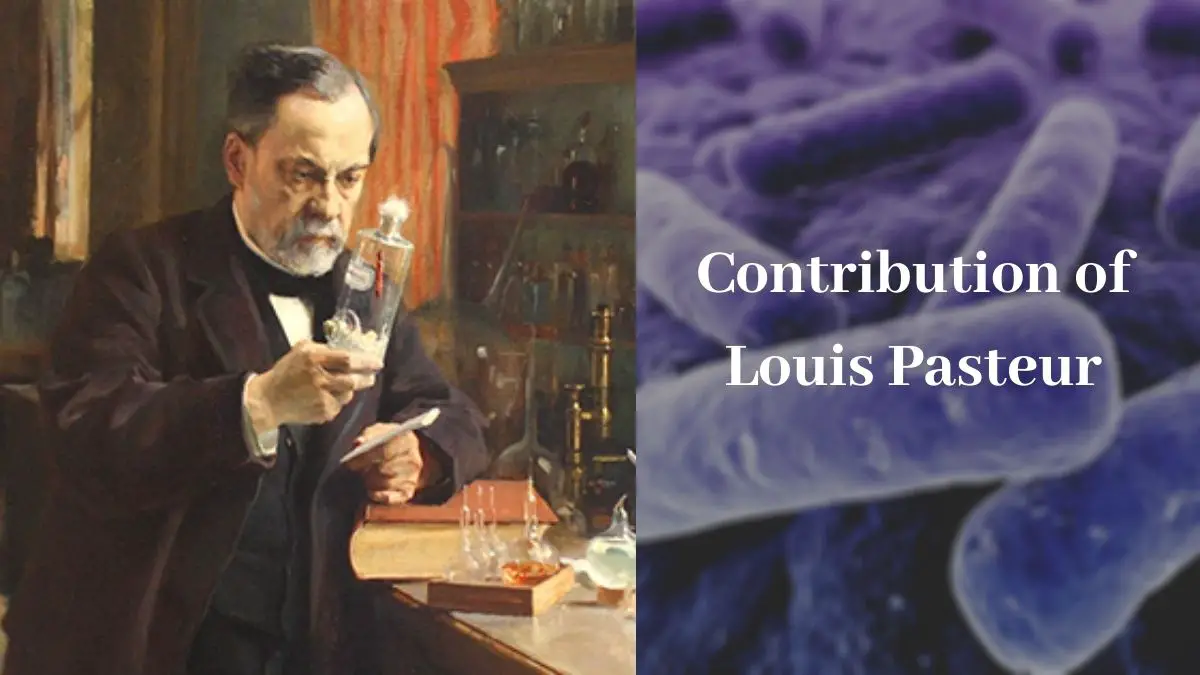 Contribution of Louis Pasteur