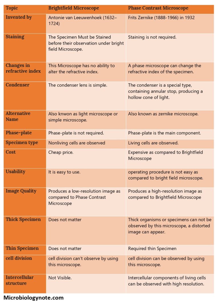 14 Difference Between Brightfield and Phasecontrast Microscopy Biology Notes Online