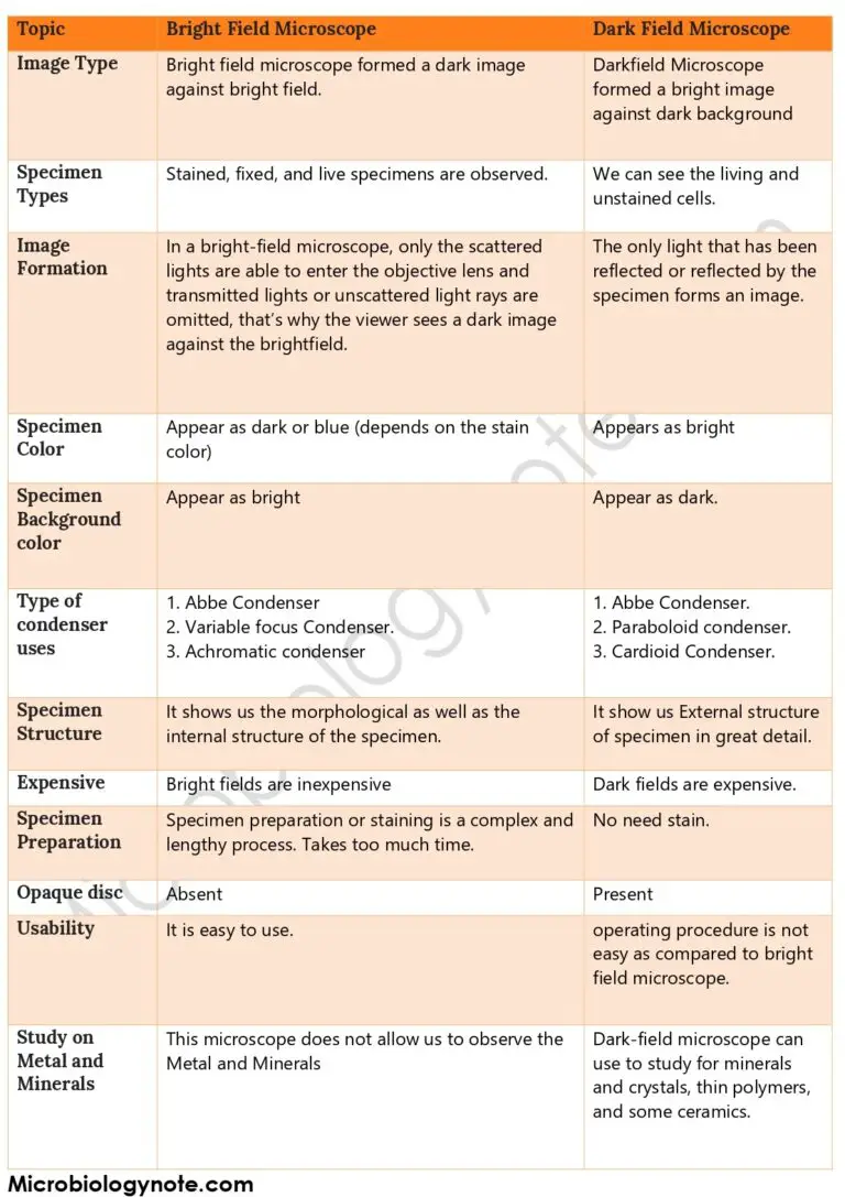 12 Difference Between Darkfield and bright Field Microscope - Biology ...