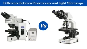 Spectrometer vs Spectrophotometer - Biology Notes Online