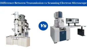 20 Difference Between Transmission and Scanning Electron Microscope