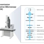 Transmission Electron  Microscope (TEM)