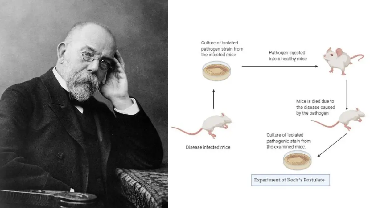 Robert Koch and Koch’s Postulates