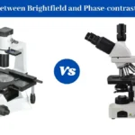 Difference Between Brightfield and Phase-contrast Microscope