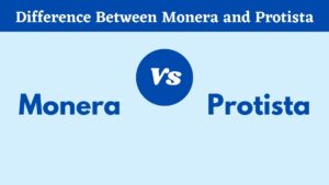 Top 14 Difference Between Monera and Protista