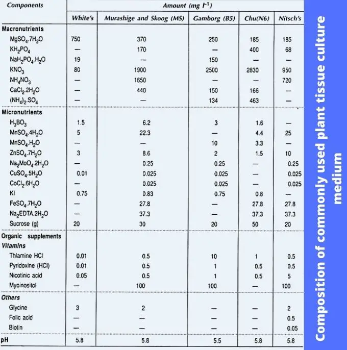 Composition of commonly used plant tissue culture medium