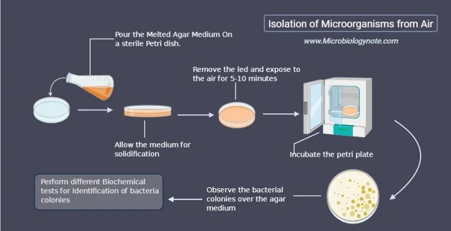 Isolation of Microorganism From Air
