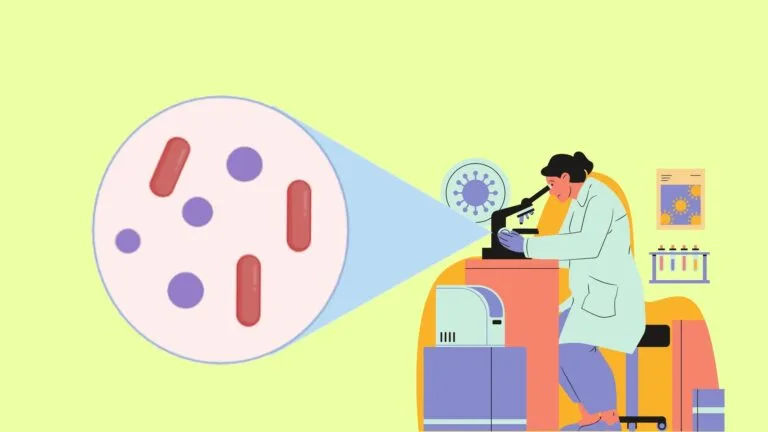 Gram Staining Procedure, Principle, and Results