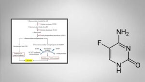5-Fluorocytosine (5-FC) Solution Preparation