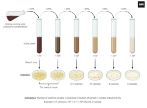 Serial Dilution Method – Definition, Procedure, Application