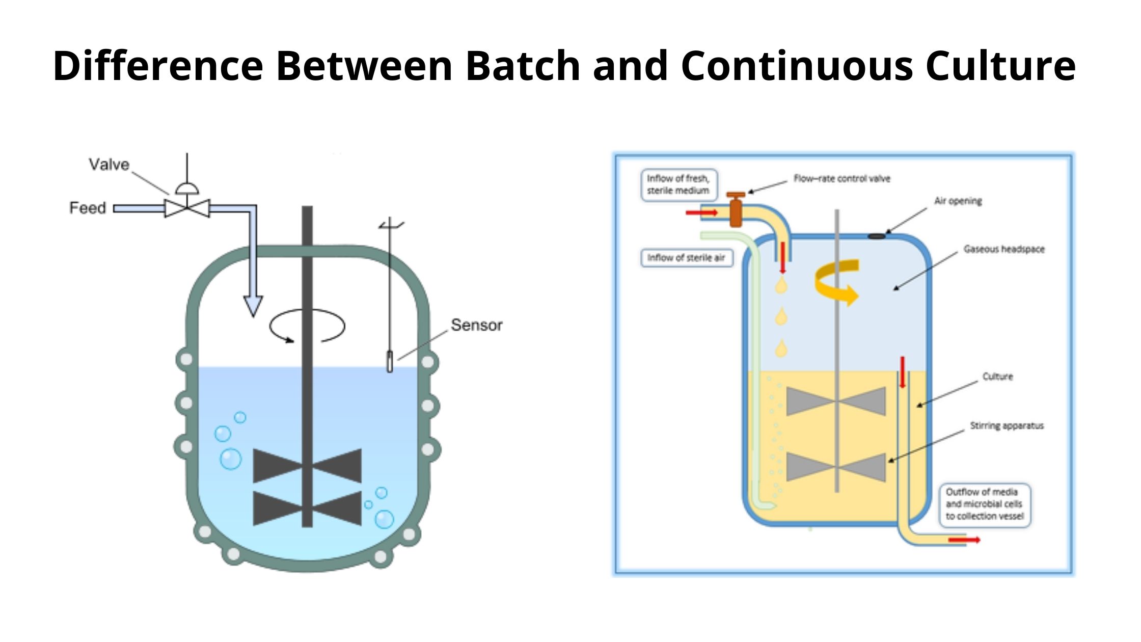 23 Difference Between Batch and Continuous Culture