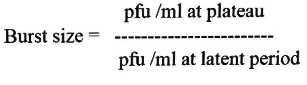 Burst Size
