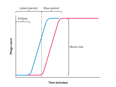 One Step Growth Curve of Virus - Biology Notes Online