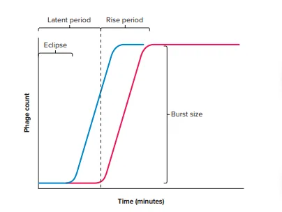 One Step Growth Curve