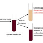 Gerhardt's test