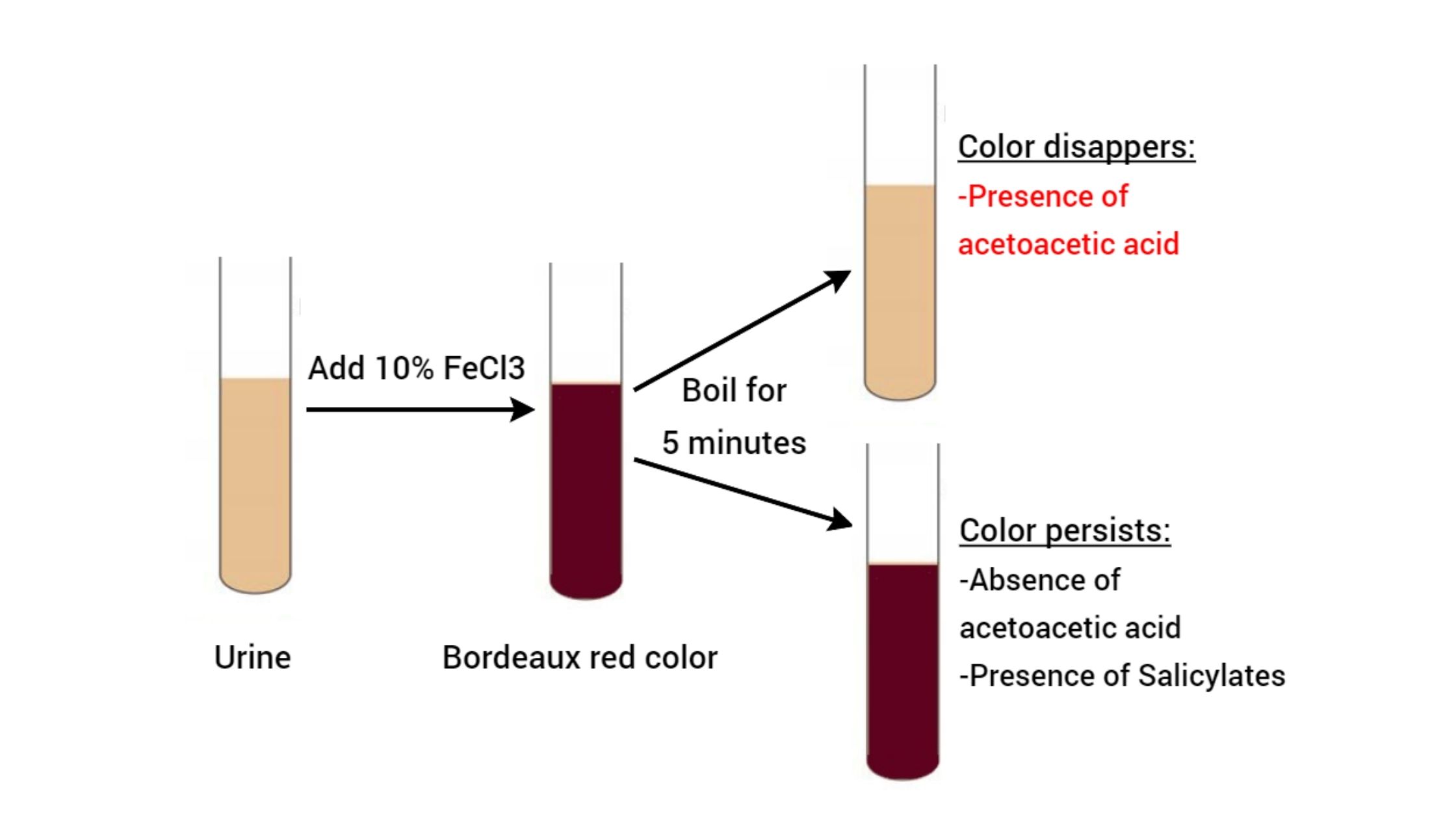 Gerhardt's test