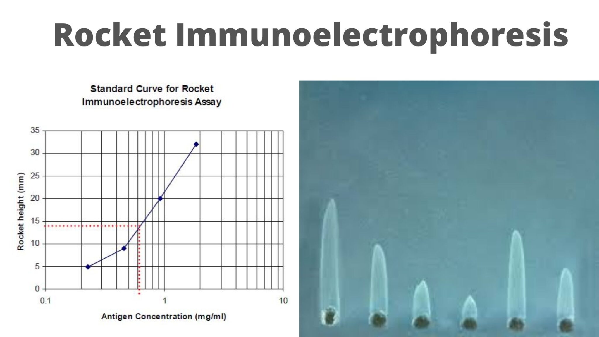 Streak Plate Method - Patterns, Procedure, Principle - Biology Notes Online