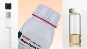 Alkaline Peptone Water – Preparation, Composition, Principle, Application.