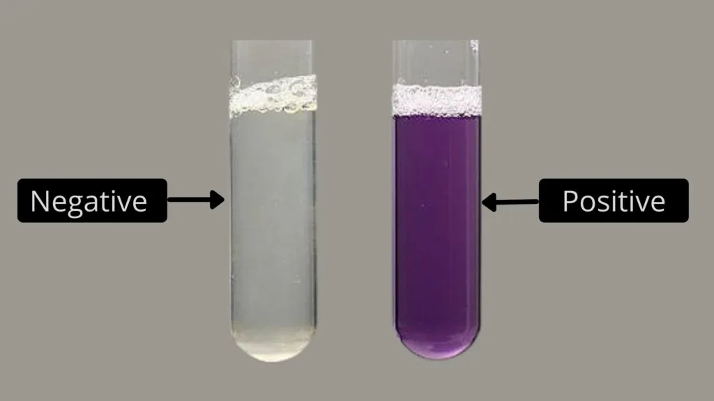 Result of Biuret Test