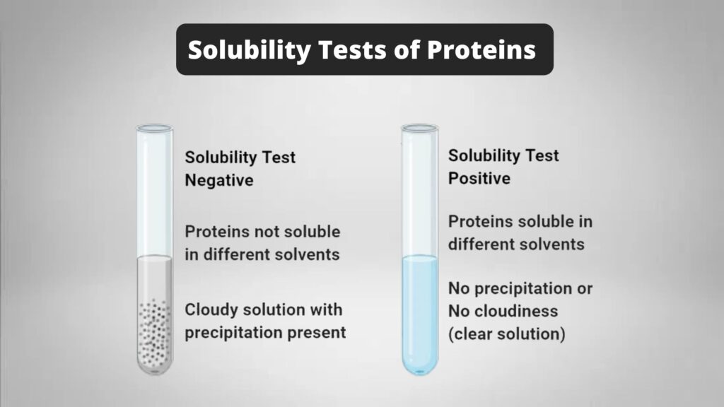 Solubility Tests of Proteins - Principle, Procedure, Result ...