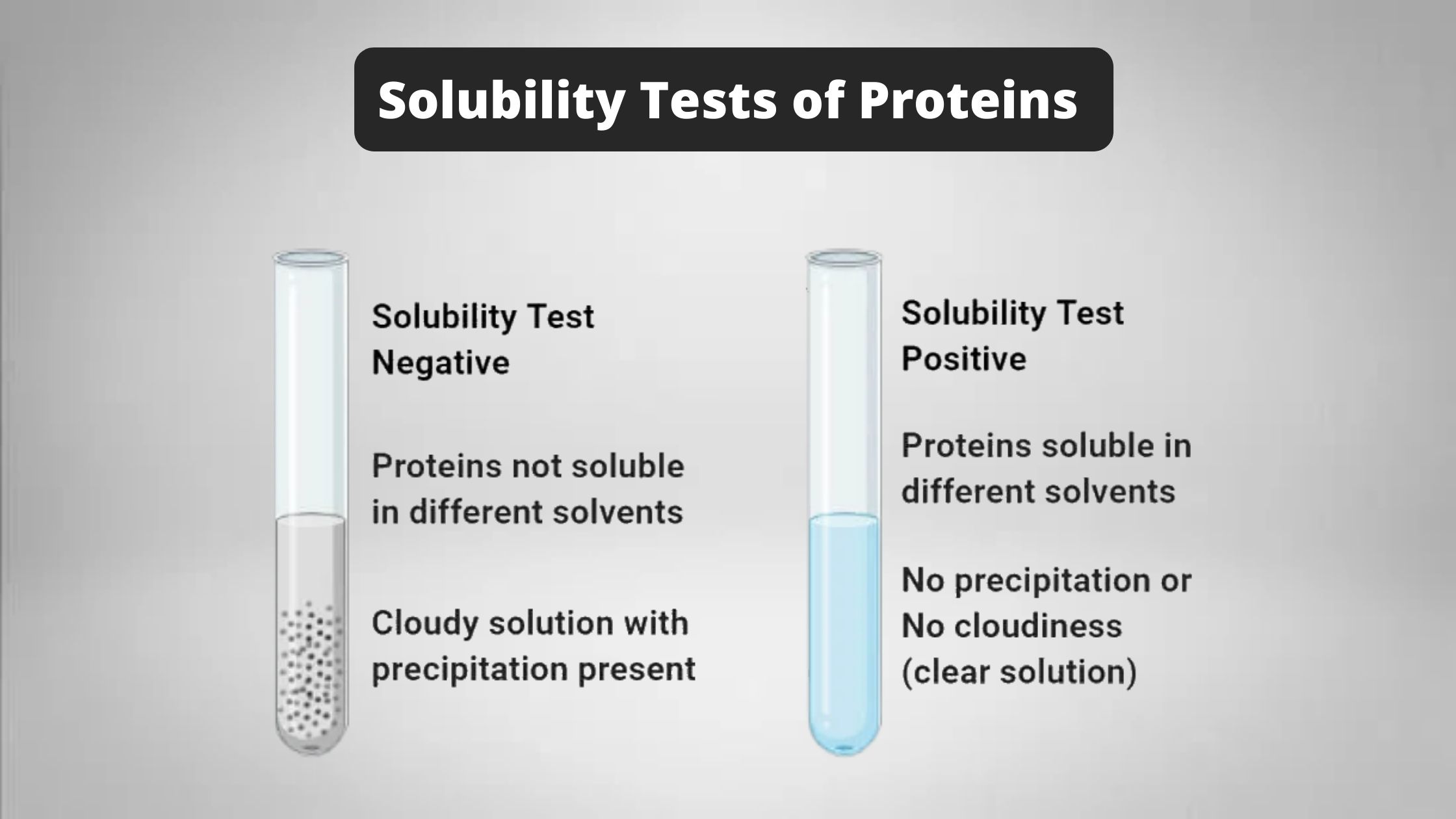 Solubility Tests of Proteins - Principle, Procedure, Result, Application