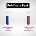 Fehling's Test Principle, Procedure, Result