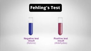 Fehling’s Test – Principle, Procedure, Result