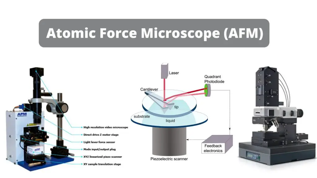 Atomic Force Microscope (AFM) - Principle, Parts, Procedure, Uses ...