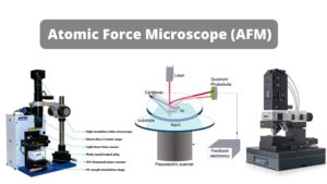 Atomic Force Microscope (AFM) – Principle, Parts, Procedure, Uses