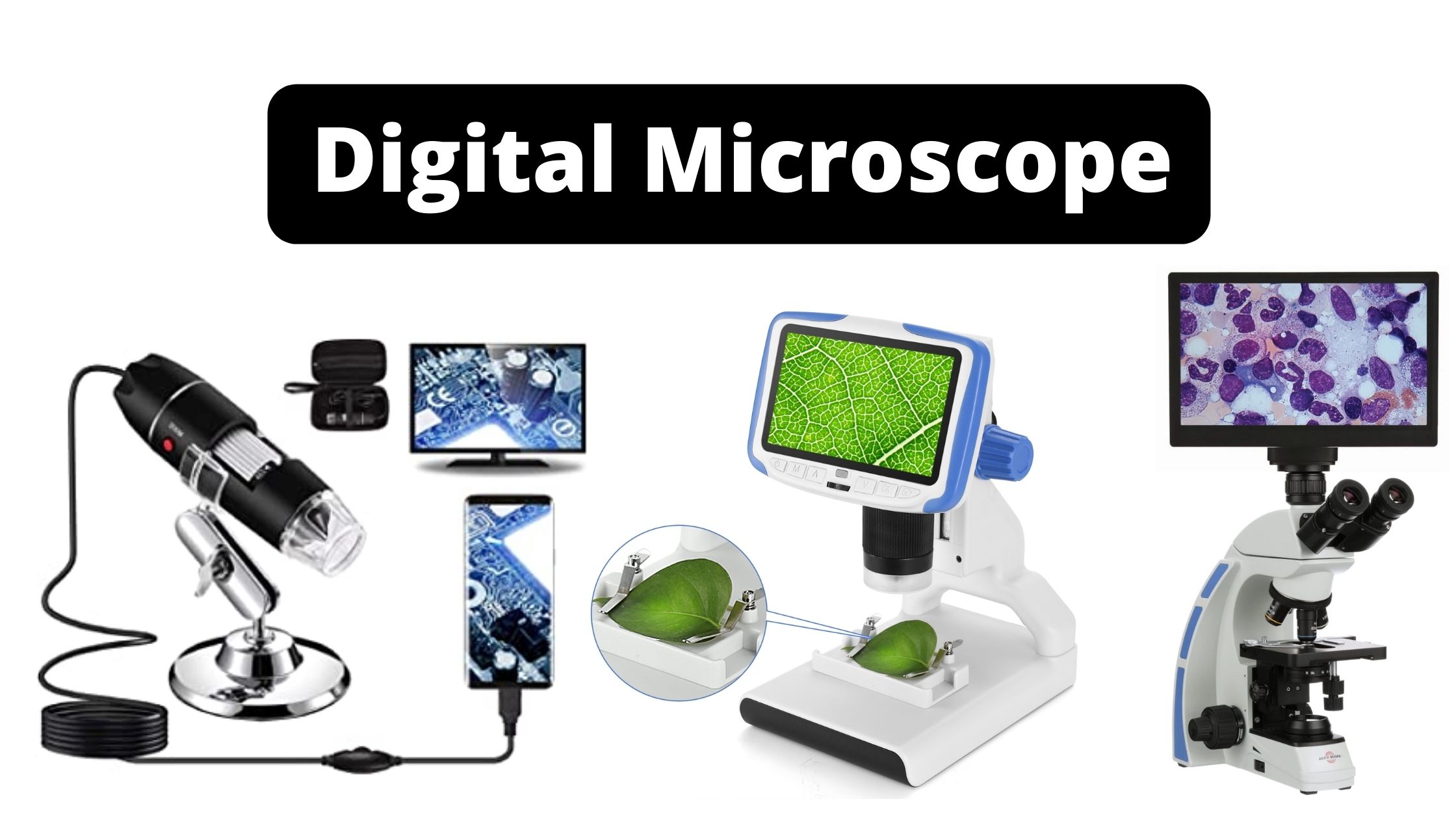 USB Microscope - Principle, Definition, Parts, Examples, Uses