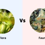 Flora vs Fauna - Differences between Flora and Fauna