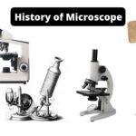 History of the Microscope