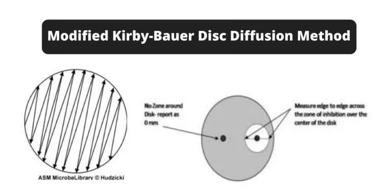 Modified Kirby-Bauer Disc Diffusion Method