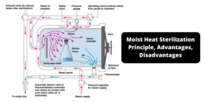 Moist Heat Sterilization – Principle, Advantages, Disadvantages