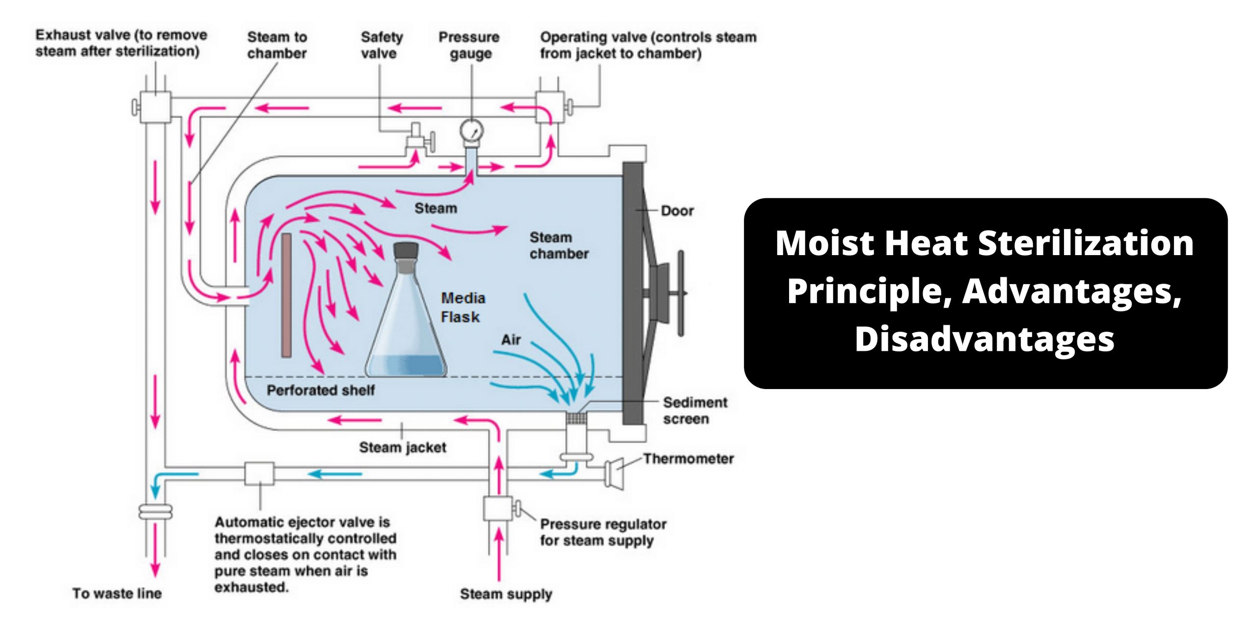 Moist Heat Sterilization Principle, Advantages, Disadvantages