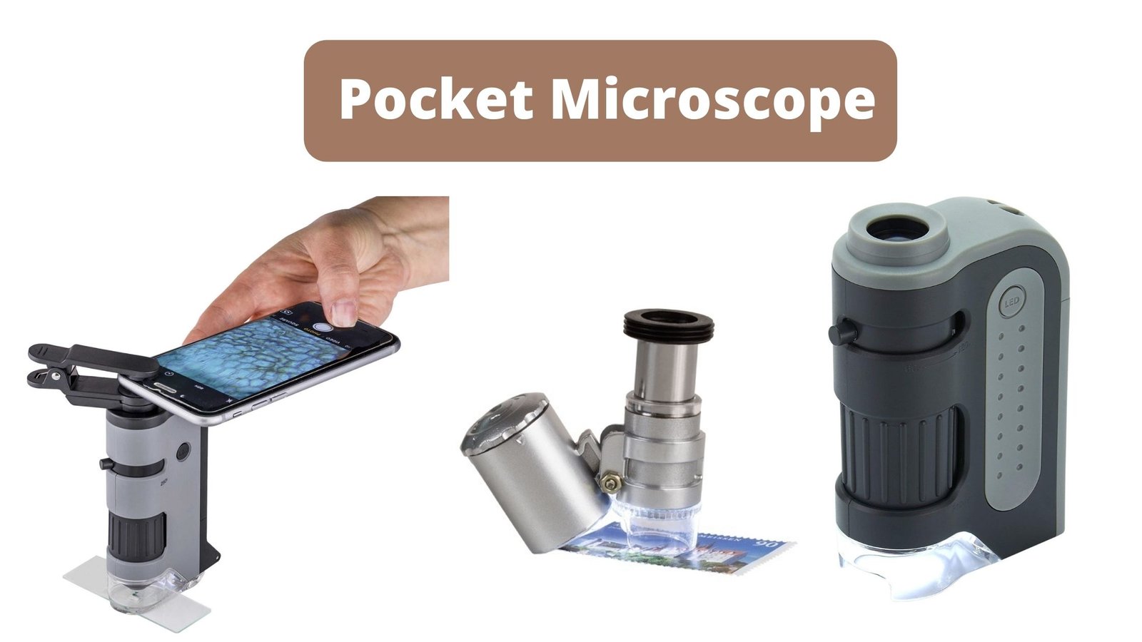 Pocket Microscope - Definition, Parts, Principle, Uses, Types