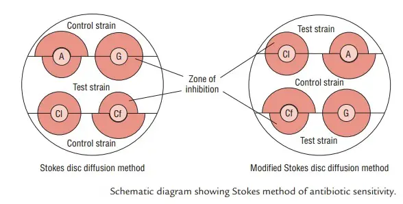 Principle of Stokes Disc Diffusion Method