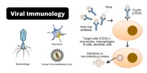 What is Viral Immunology?